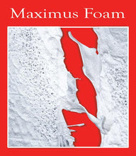 Load image into Gallery viewer, Maximus Foam - House Wash Surfactant