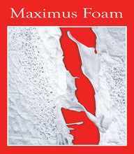 Load image into Gallery viewer, Maximus Foam - House Wash Surfactant

